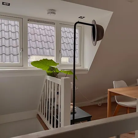 New V Luxury Apartament *